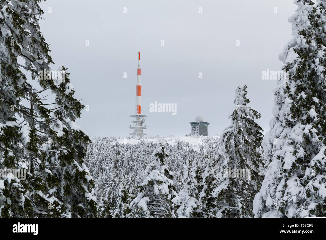 Winter im Nationalpark Harz, Brocken, Deutschland Stockfoto