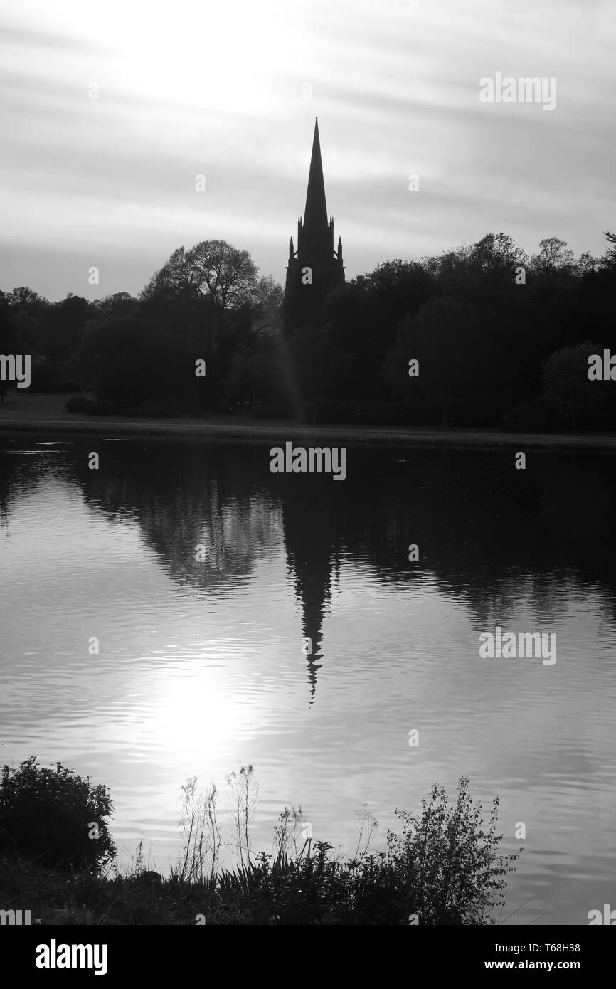 Feder an der Clumber Park Nottinghamshire. Stockfoto