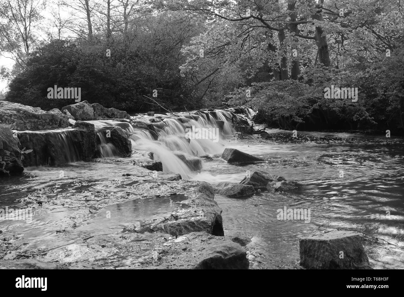 Wasserfall bei Clumber Park Nottinghamshire. Stockfoto