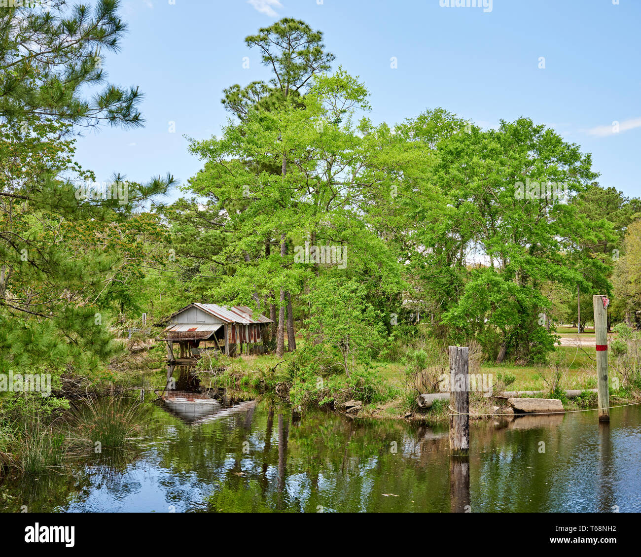 Kleine Holz- Boot Haus, oder Bootshaus, auf der ruhigen grünen Bayou Coden in ländlichen Küstengebieten South Alabama, USA. Stockfoto