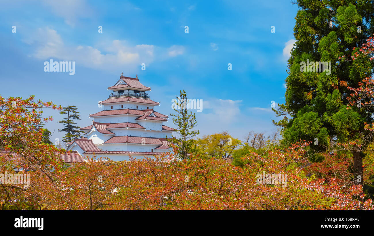 Aizuwakamatsu Schloss und Kirschblüte in Fukushima, Japan Aizuwakamatsu, Japan - 21 April 2018: aizu-wakamatsu Schloss und Kirschblüte gebaut von einem Stockfoto