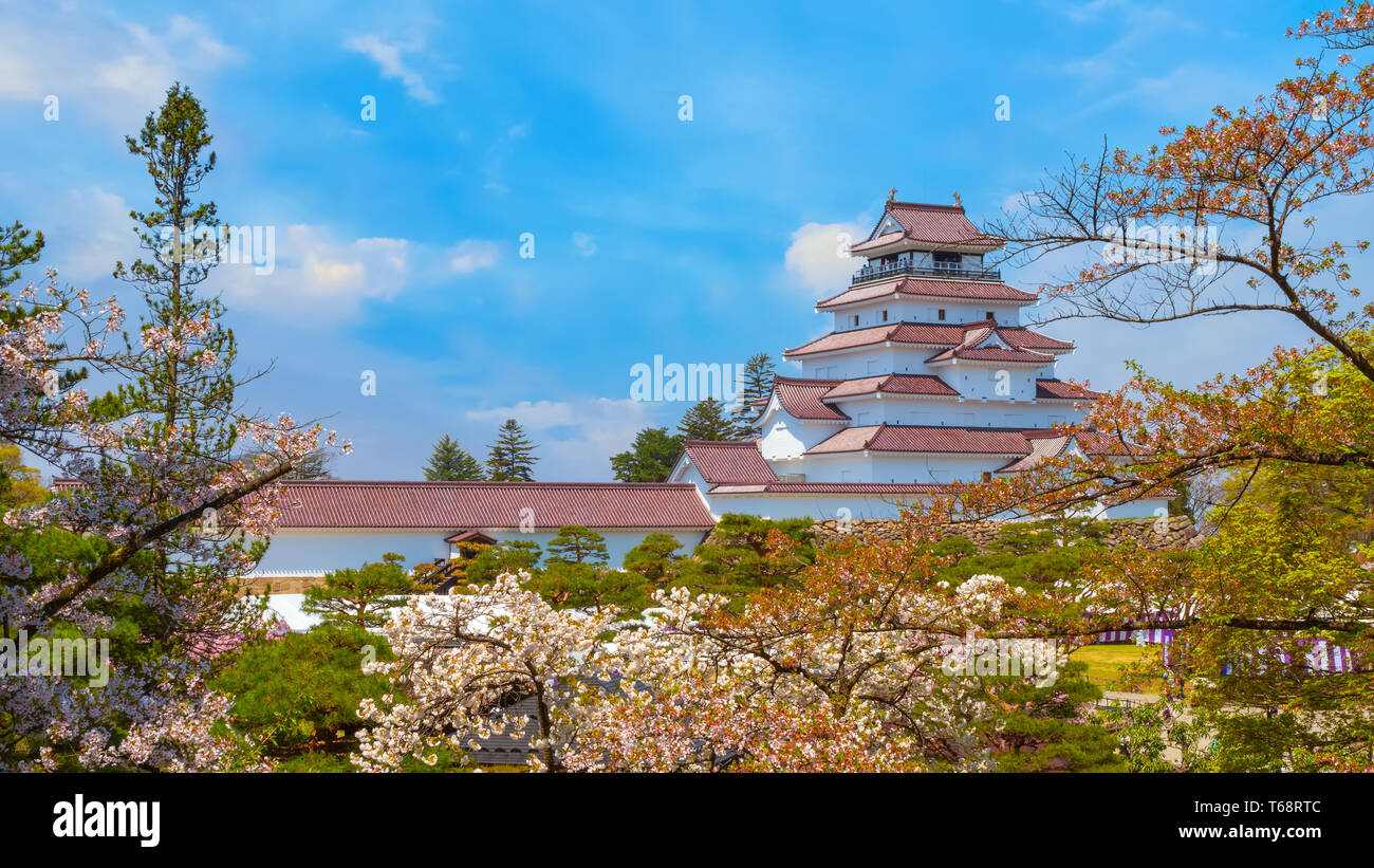 Aizuwakamatsu Schloss und Kirschblüte in Fukushima, Japan Aizuwakamatsu, Japan - 21 April 2018: aizu-wakamatsu Schloss und Kirschblüte gebaut von einem Stockfoto