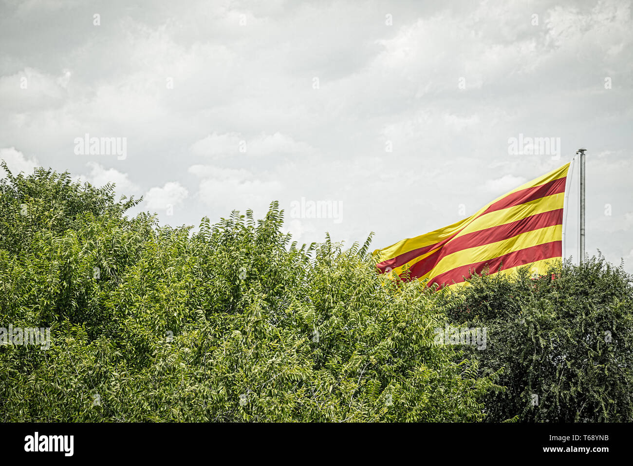 spanische Flagge hinter einigen Bäumen im Sommer Stockfoto