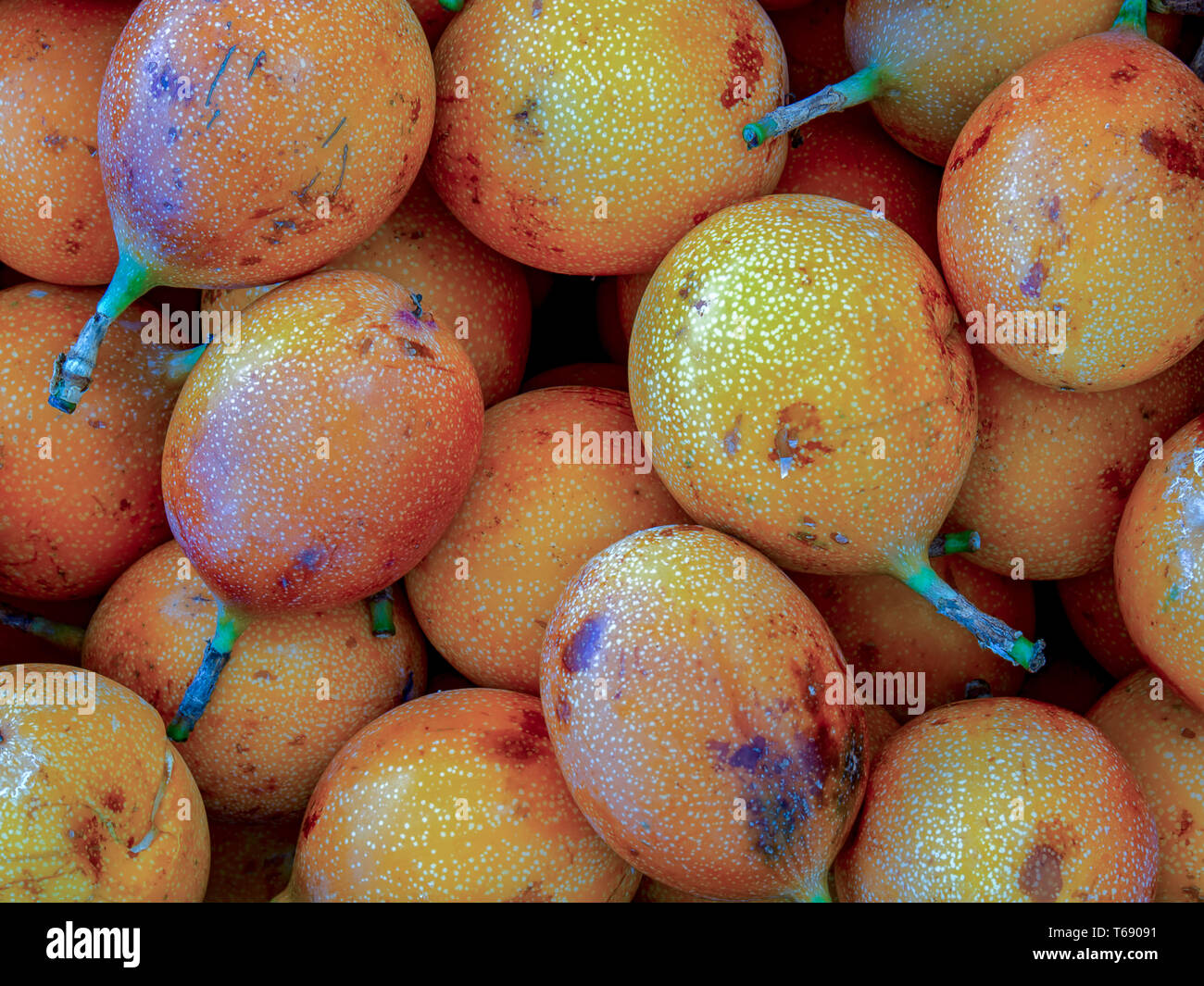 Ein Haufen von süßen granadillas. An der lokalen traditionellen Markt der kolonialen Stadt Villa de Leyva in Kolumbien fotografiert. Stockfoto