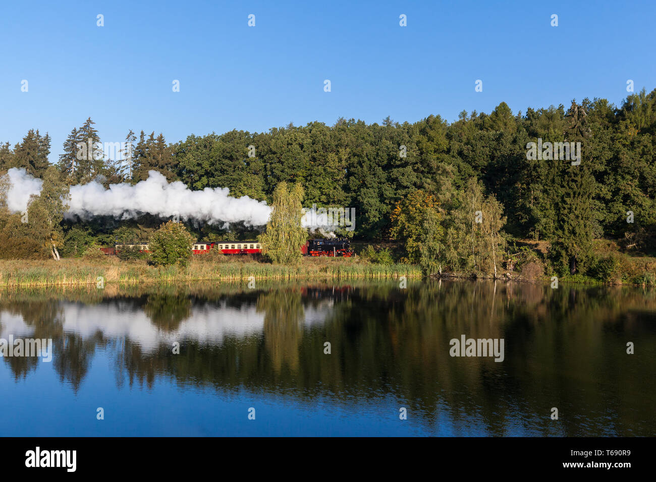 Narrow-Gauge Eisenbahn Harzquerbahn genannt, Selketal, Harz, Deutschland Stockfoto