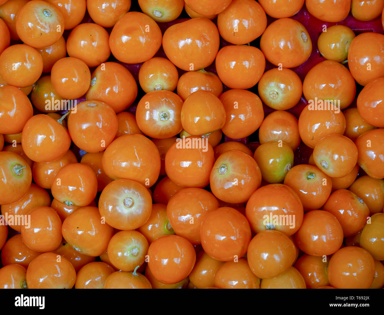 Ein Haufen goldenberries fotografiert an der traditionellen lokalen Markt der kolonialen Stadt Villa de Leyva, in den Anden von zentraler Colomb Stockfoto