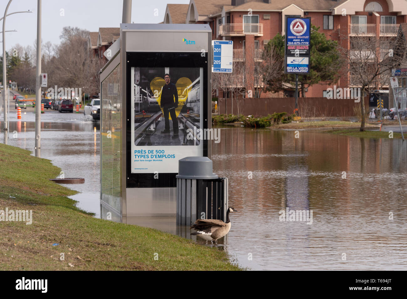 Pierrefonds-Roxboro, Quebec, Kanada - 29 April 2019: versenkt Bushaltestelle im Frühjahr Hochwasser Stockfoto