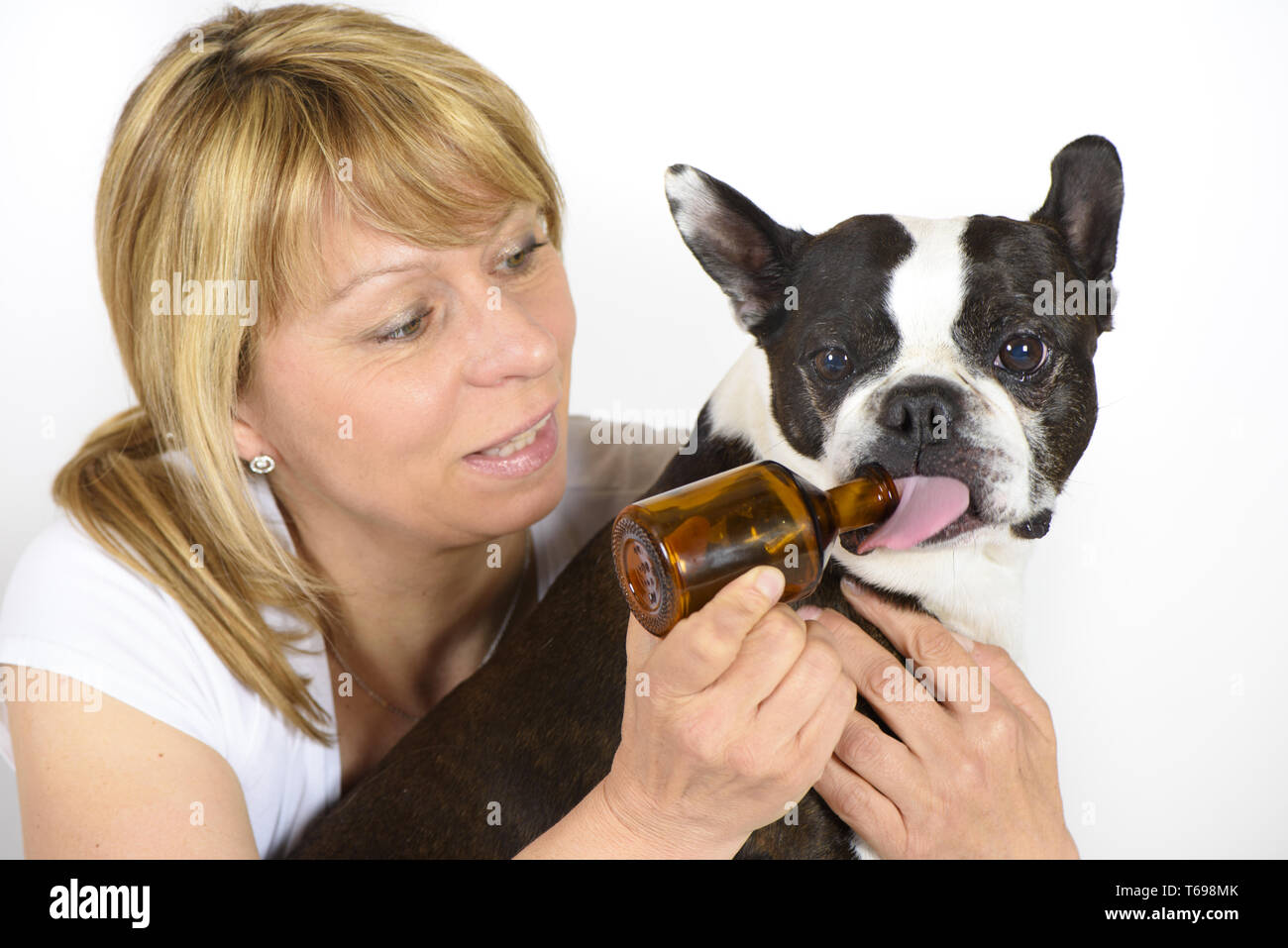 Hund und Berufsbildung auf die klinische Untersuchung mit der alternativen Medizin Stockfoto
