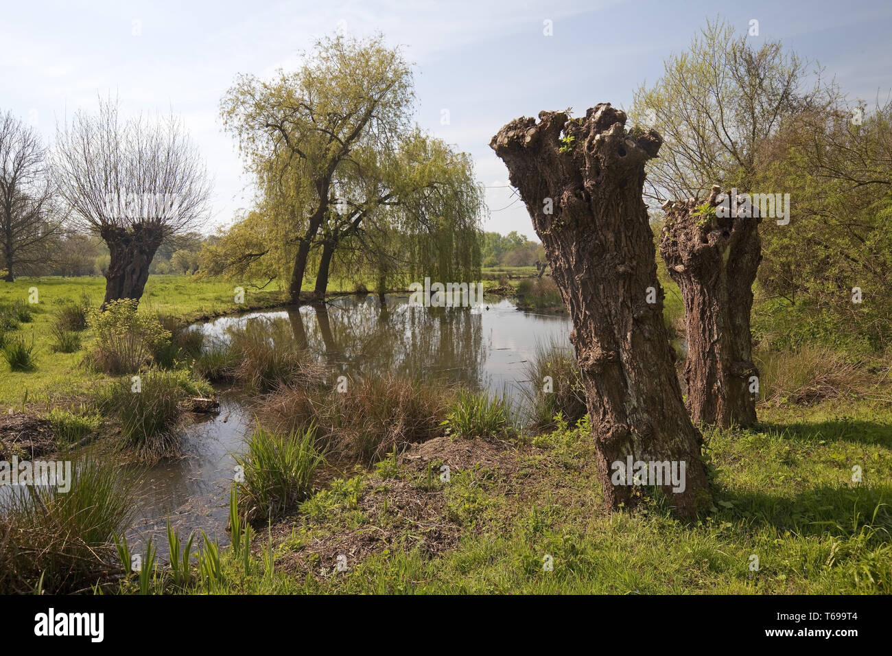 Aue Landschaft, Museum Insel Hombroich, Neuss, Niederrhein, Nordrhein-Westfalen, Deutschland Stockfoto