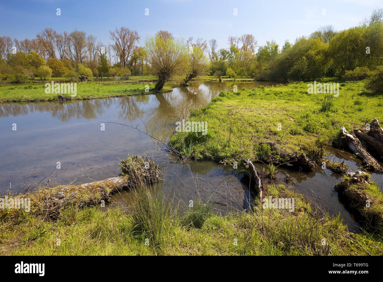 Aue Landschaft, Museum Insel Hombroich, Neuss, Niederrhein, Nordrhein-Westfalen, Deutschland Stockfoto