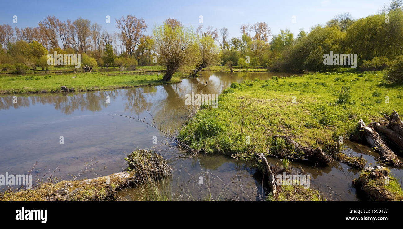 Aue Landschaft, Museum Insel Hombroich, Neuss, Niederrhein, Nordrhein-Westfalen, Deutschland Stockfoto