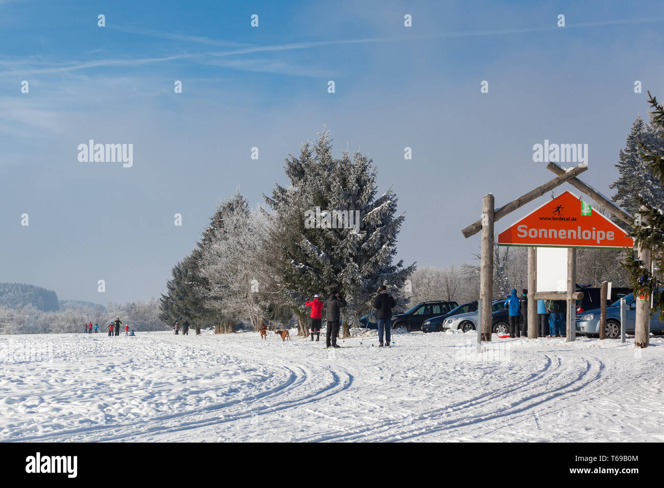 Kleine Stadt Friedrichsbrunn, Harz, Deutschland Stockfoto
