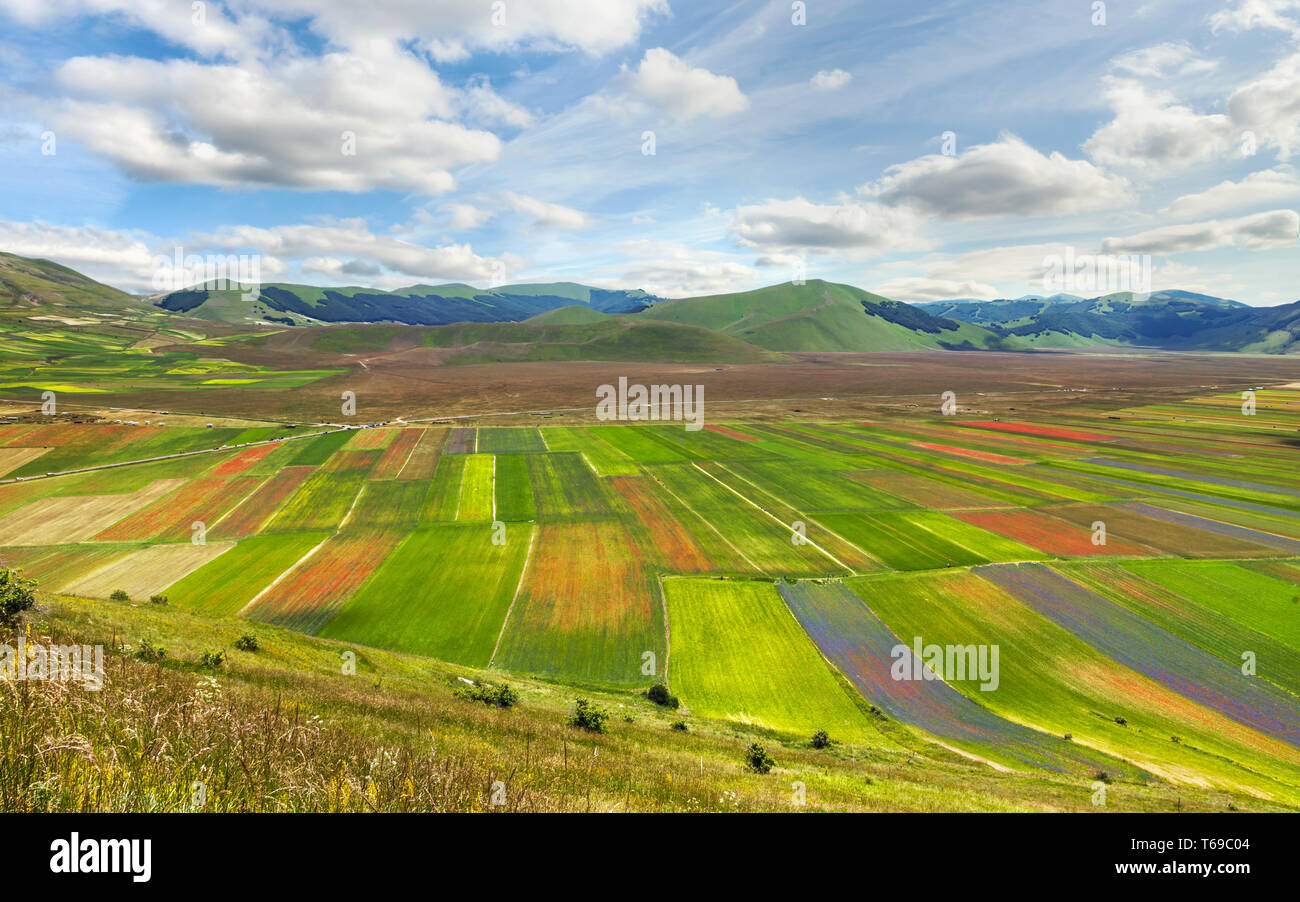 Die Blütezeit im Hochland der Sibillinischen Berge Stockfoto