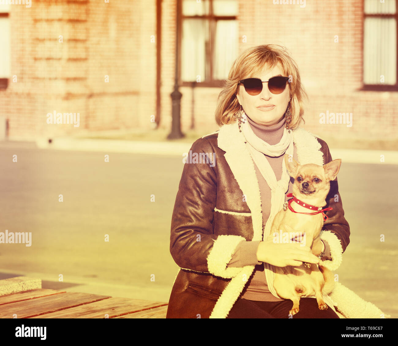 Süße Frau und ihr Chihuahua Hund auf Natur Backgro Stockfoto