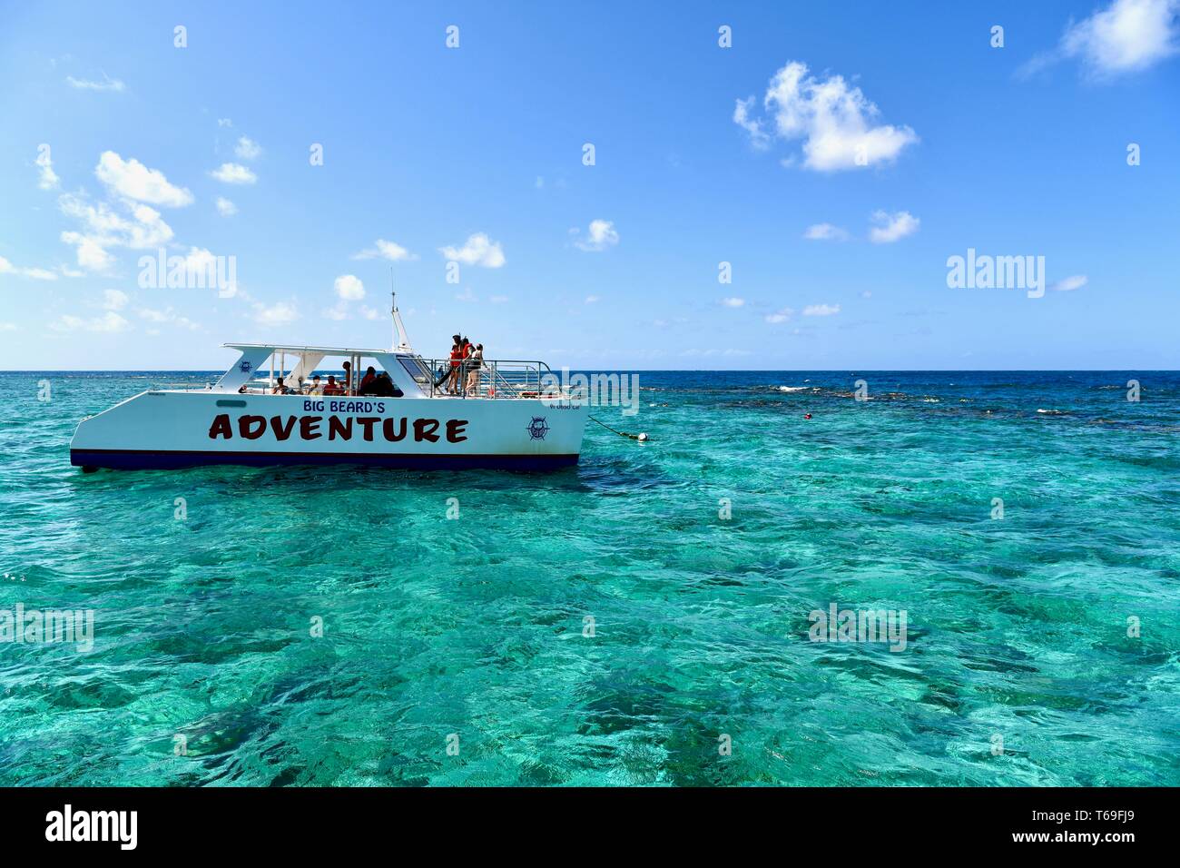 Buck Schnorcheln Insel Abenteuer, St. Croix, USVI Stockfoto