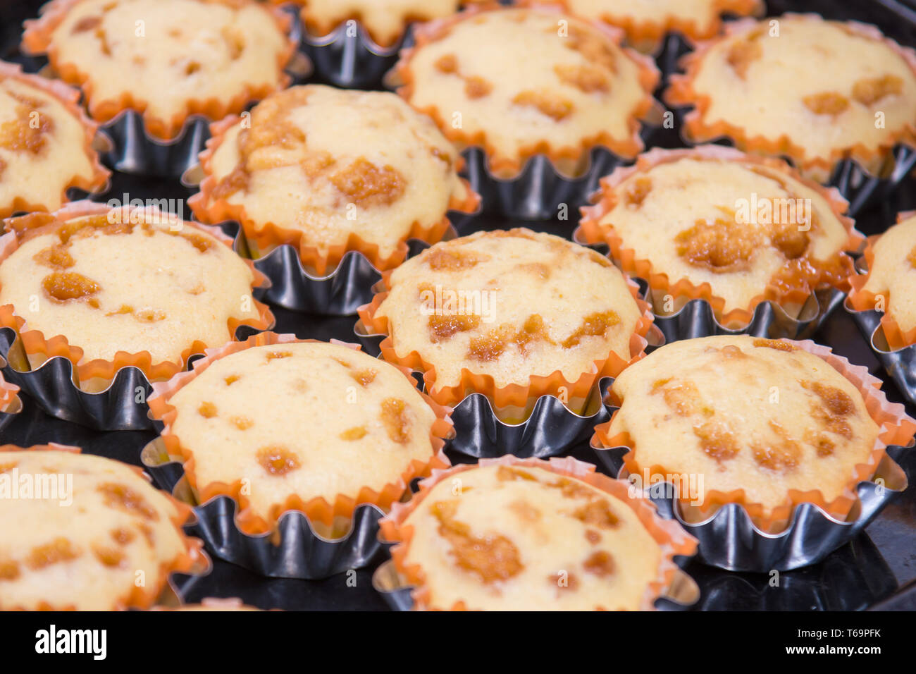 Ein Blick auf verschiedene frisch gebackene Kuchen in Metalldosen Stockfoto
