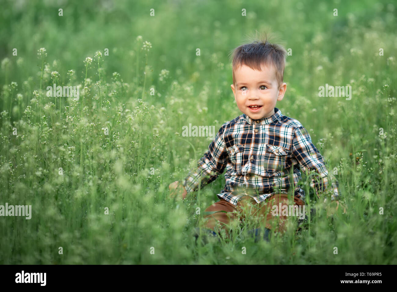 Kleinen Jungen sitzen in der blühenden Wiese Stockfoto