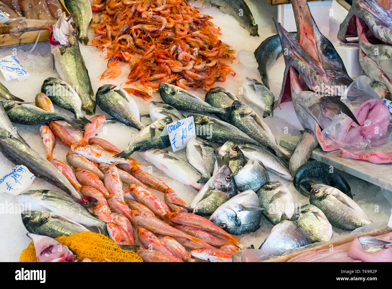 Frischer Fisch und Meeresfrüchte auf dem Vucciria Markt in Palermo, Sizilien Stockfoto