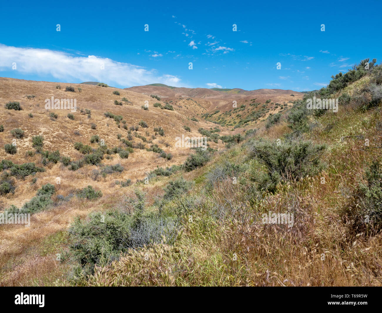 San Andreas Störung bei Wallace Creek Trail, Carizzo Plain National Monument an sonnigen Frühlingstag, Kern County, Kalifornien, Zentral Tal Stockfoto