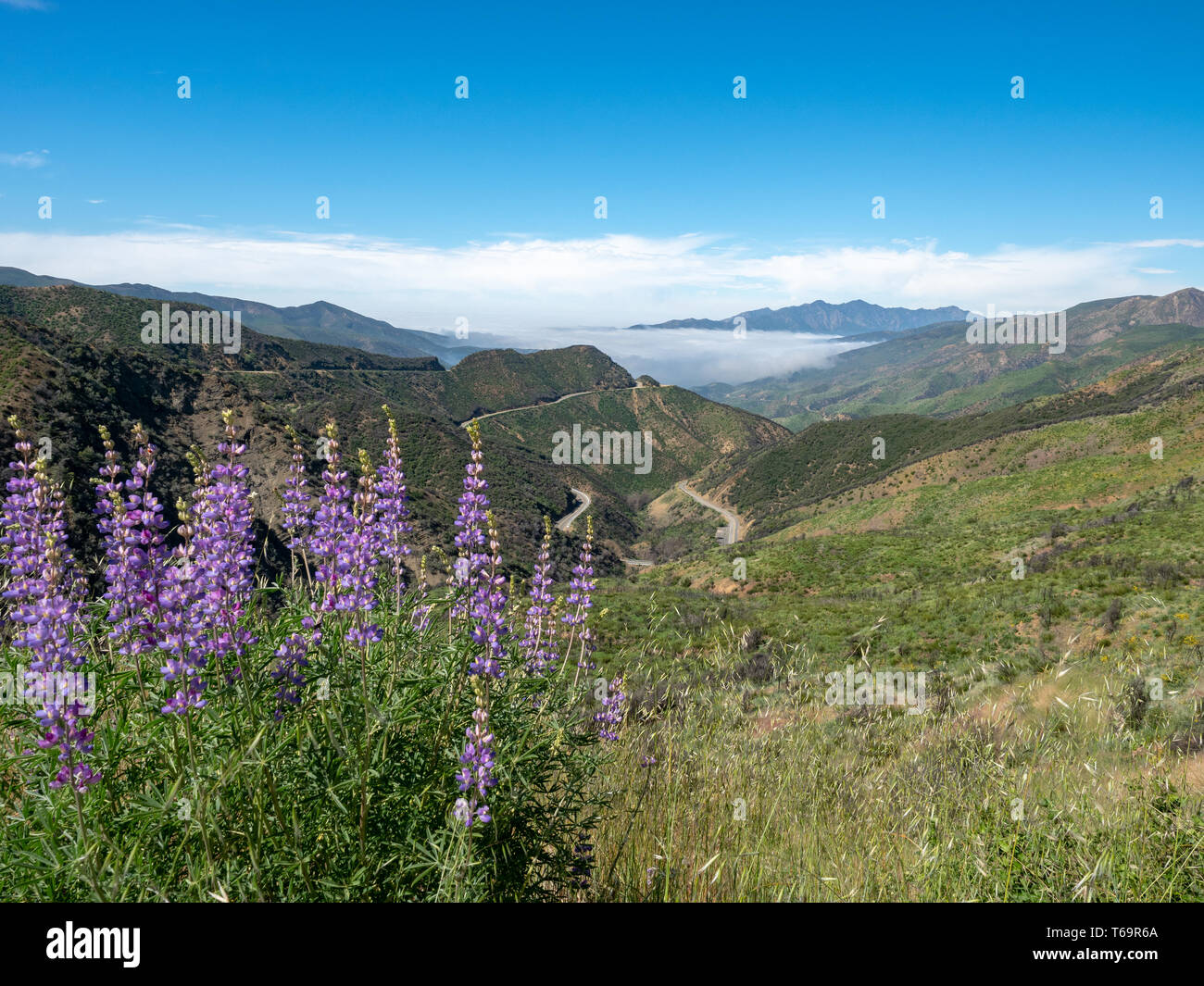 Los Padres National Forest, Highway 33, Ventura County, Ojai, Kalifornien, USA Stockfoto