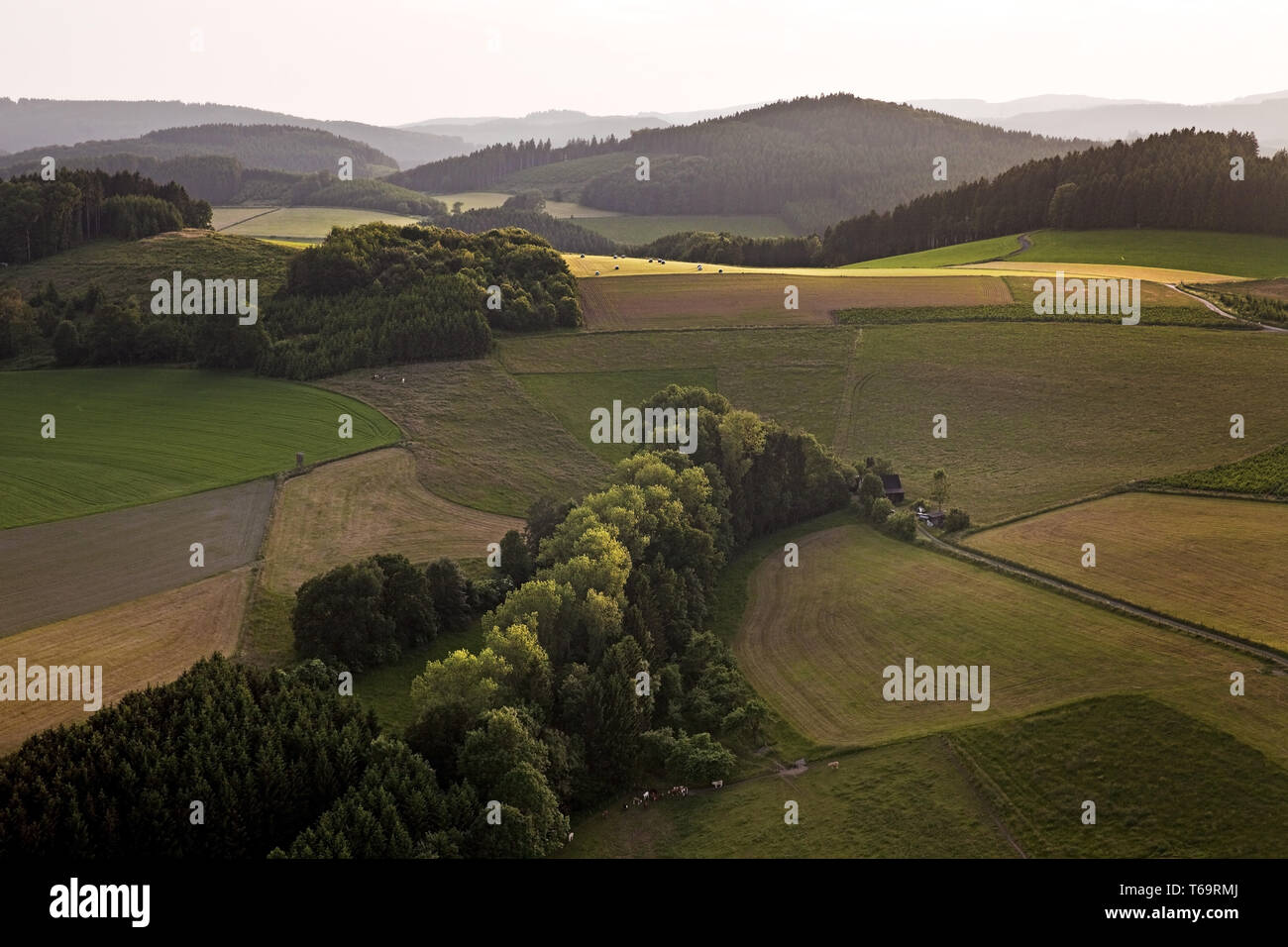 Luftaufnahme der hügeligen Landschaft in der Nähe von Feld und Wald Thurmansbang, Nordrhein-Westfalen, Deutschland Stockfoto