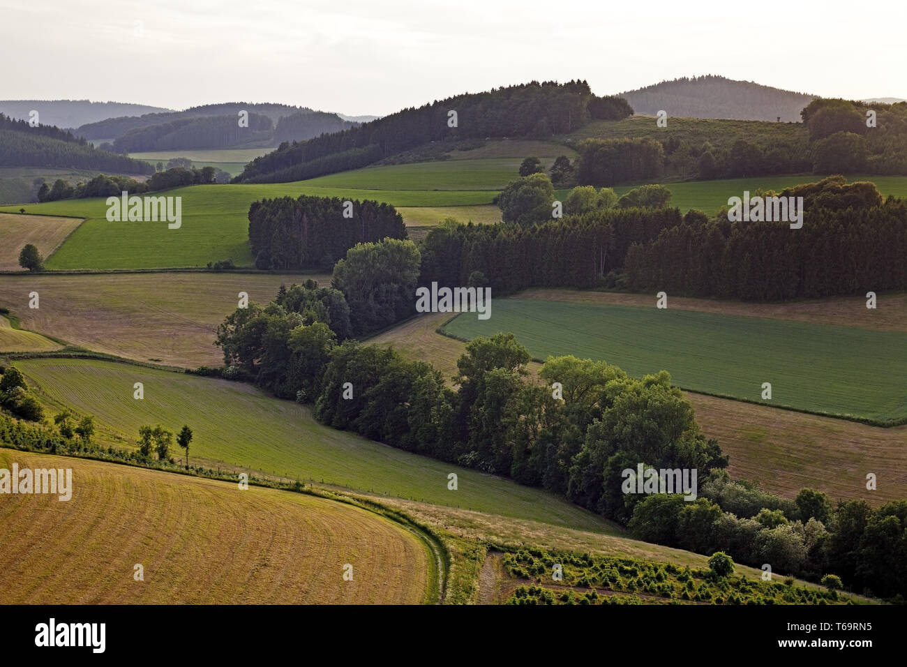 Luftaufnahme der hügeligen Landschaft in der Nähe von Feld und Wald Thurmansbang, Nordrhein-Westfalen, Deutschland Stockfoto