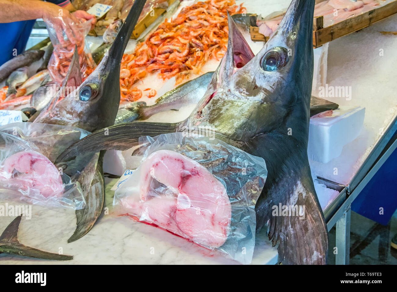 Frischer Schwertfisch zum Verkauf auf einem Markt in Palermo, Sizilien Stockfoto