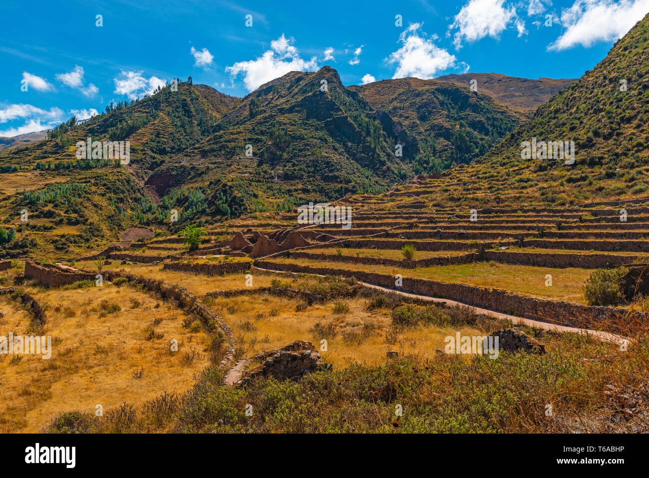 Die archäologischen Ruinen von tipon im Heiligen Tal der Inka in der Nähe von Cusco, Peru. Stockfoto