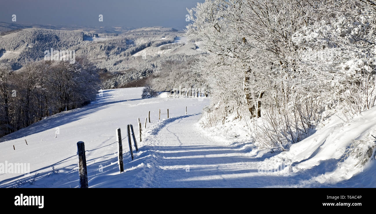 Pfad in der verschneiten Landschaft von Wildewiese, Deutschland, Nordrhein-Westfalen, Sauerland, Sundern Stockfoto