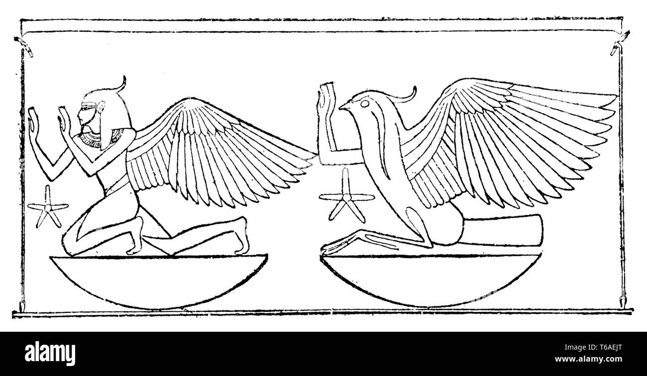 Ägyptische Darstellung der Vogel Phönix. Nach Wilkinson, 1885 Stockfoto