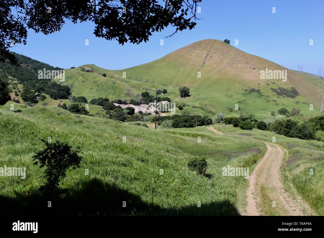 Black Diamond Mines Regional Preserve, Antioch, Kalifornien Stockfoto