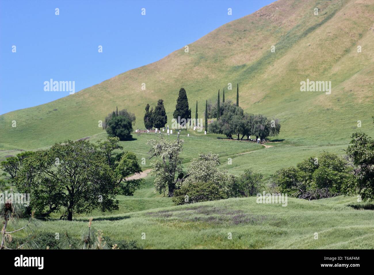 Black Diamond Mines Regional Preserve, Antioch, Kalifornien Stockfoto