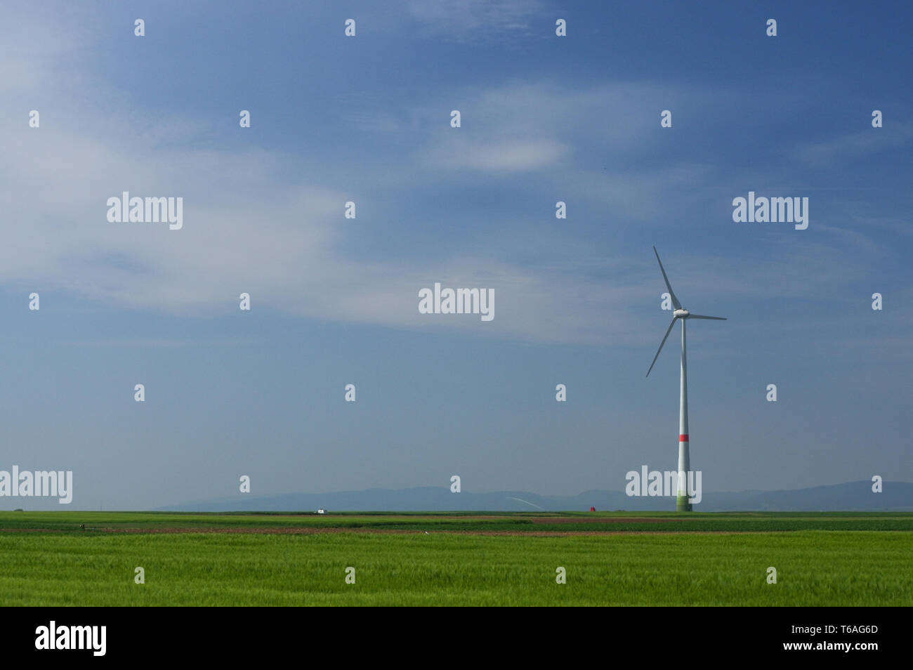 grüne Wiese mit Windkraftanlagen zur Stromerzeugung Stockfoto