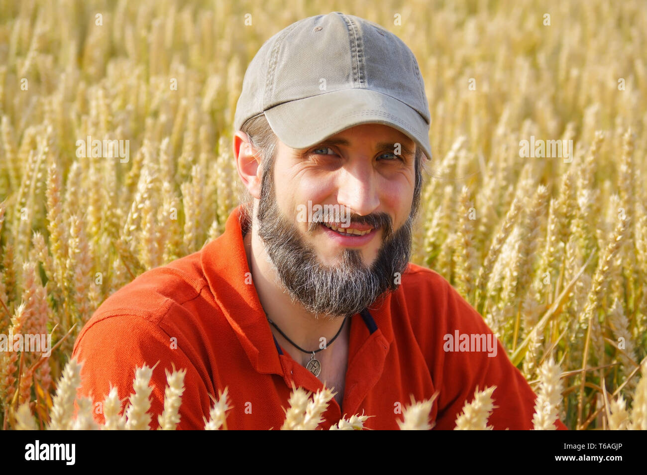 Bärtiger Mann sitzen in einem Weizenfeld an einem sonnigen Tag Stockfoto