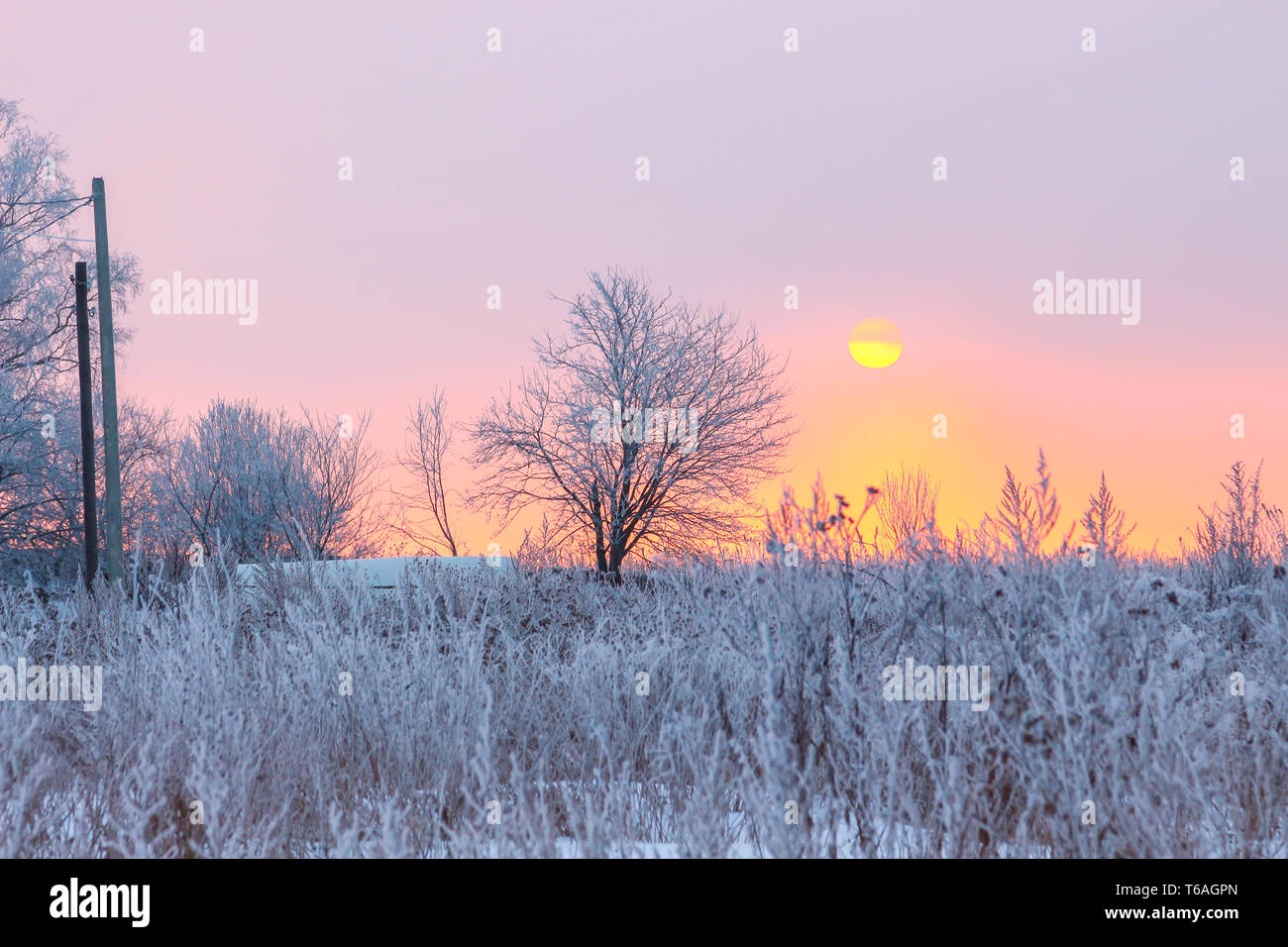 Winter-Sonnenuntergang Stockfoto