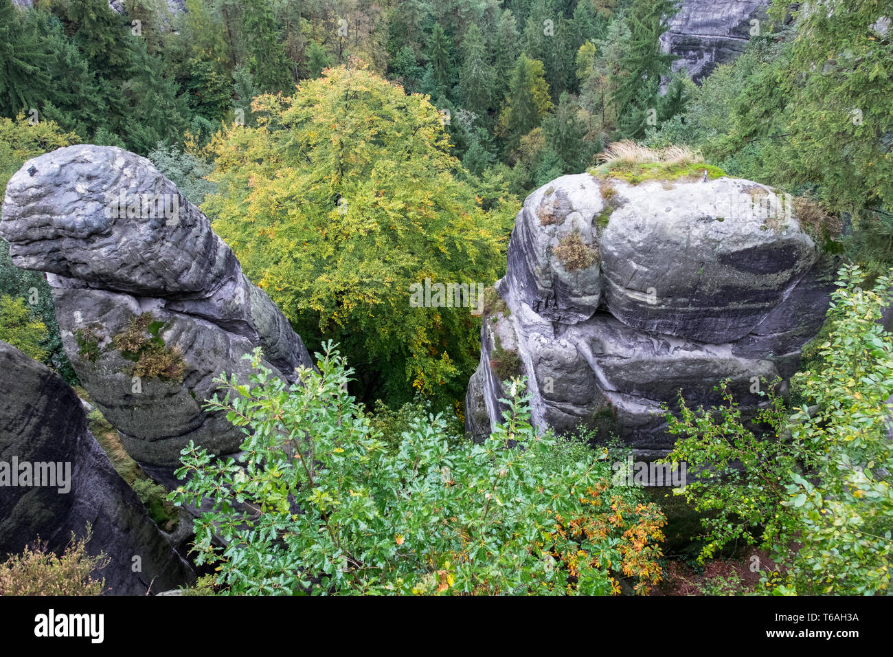 Die Bastei Felsen, Elbsandstein Hochland, Nationalpark Sächsische Schweiz, Deutschland Stockfoto