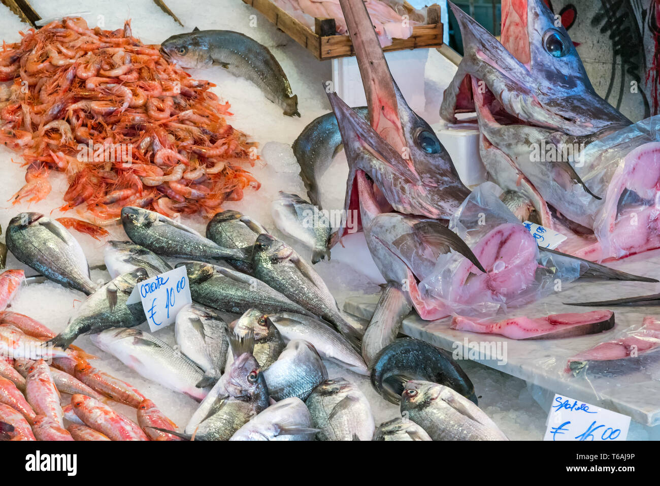 Schwertfisch und andere Fische und Meeresfrüchte zum Verkauf auf einem Markt in Palermo, Sizilien Stockfoto
