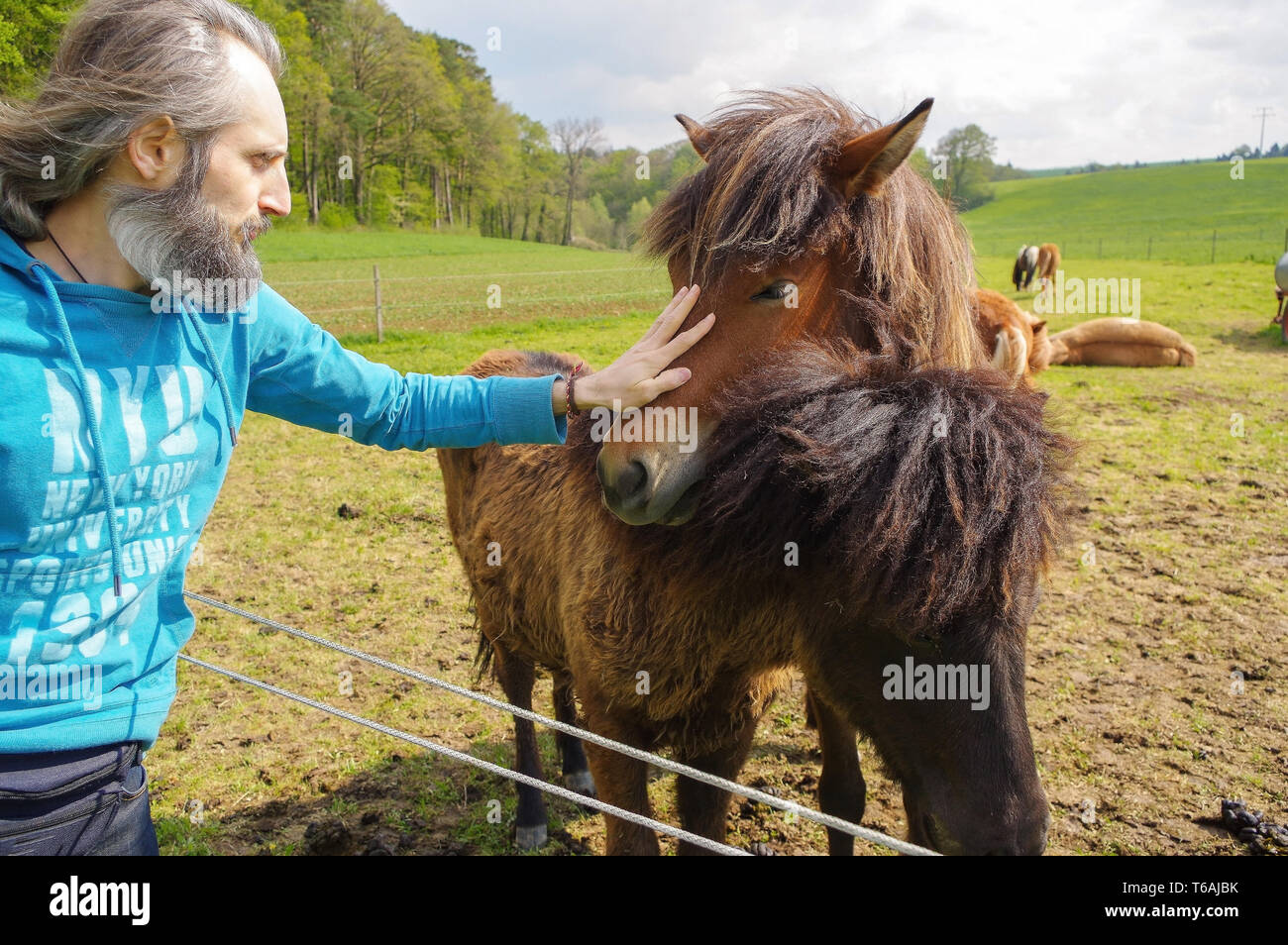 Mann mit langen Haaren, die Pferde auf der Wiese zu sprechen Stockfoto