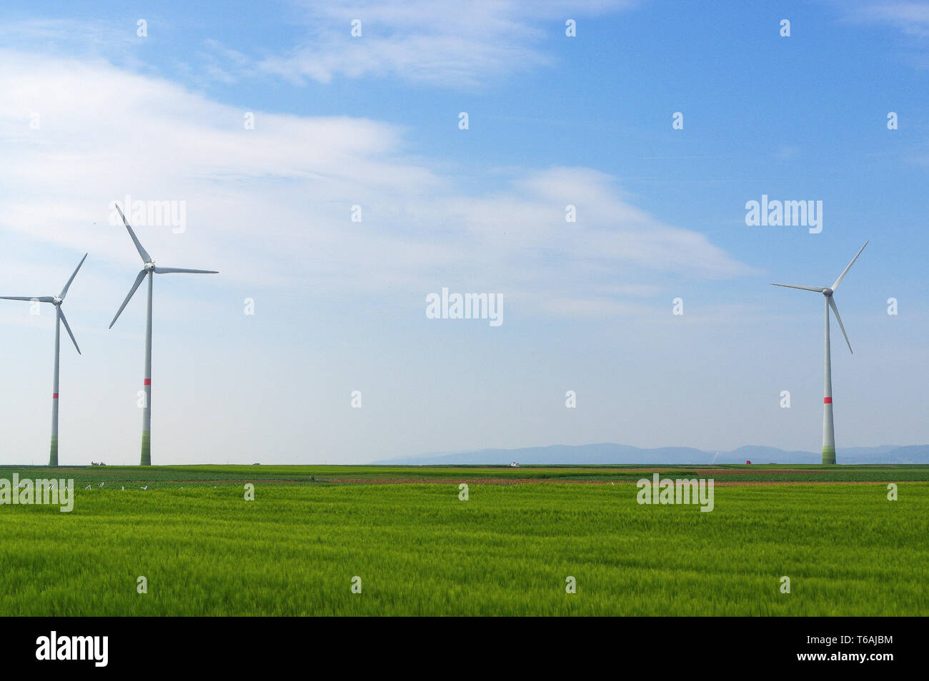 grüne Wiese mit Windkraftanlagen zur Stromerzeugung Stockfoto