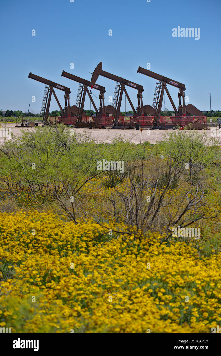 Midland County, Texas, Vereinigte Staaten - 21 April 2019: Eine Reihe von Pumpanlagen in eine gerichtete gut im Permian Basin Ölfeld. Stockfoto
