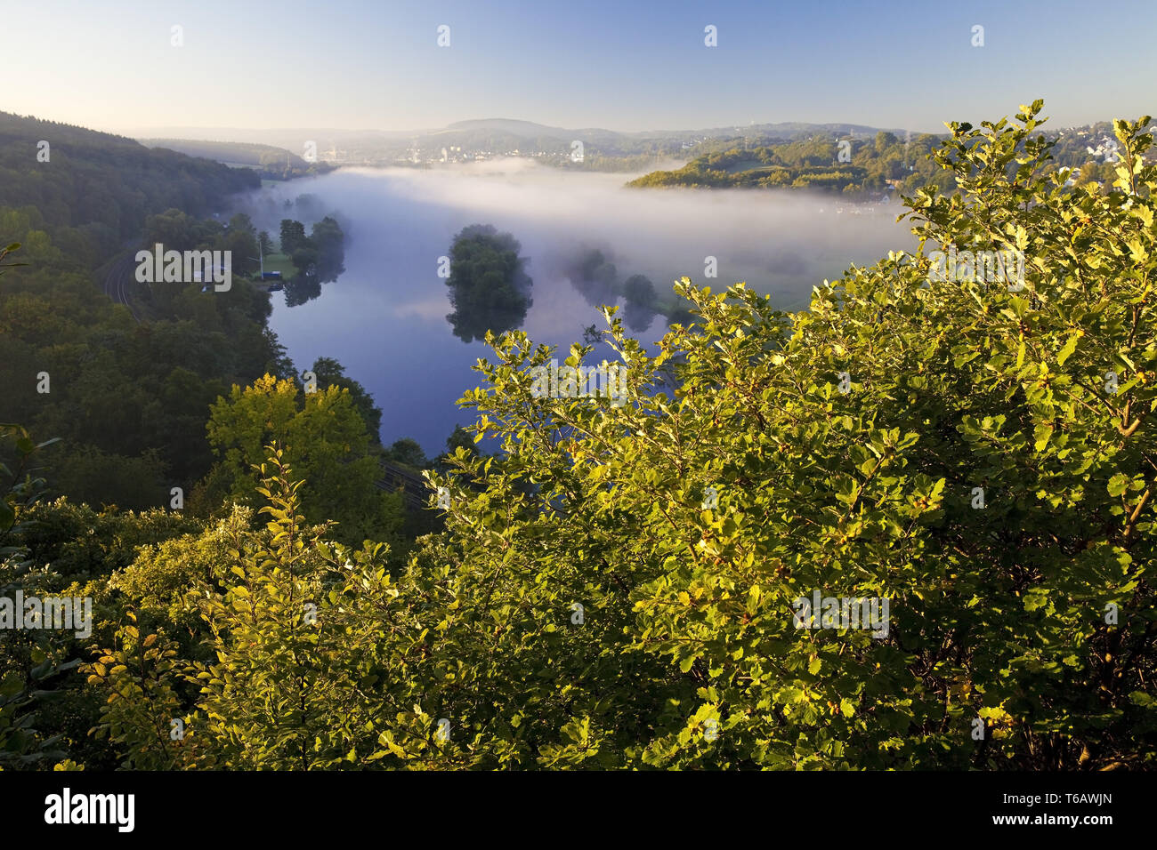 Morgennebel im Ruhrgebiet im Herbst, Witten, Ruhrgebiet, Nordrhein-Westfalen, Deutschland Stockfoto