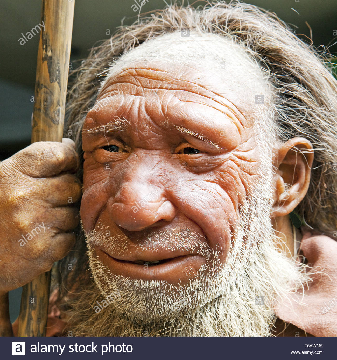 Neandertaler Porträt Stockfotos und -bilder Kaufen - Alamy