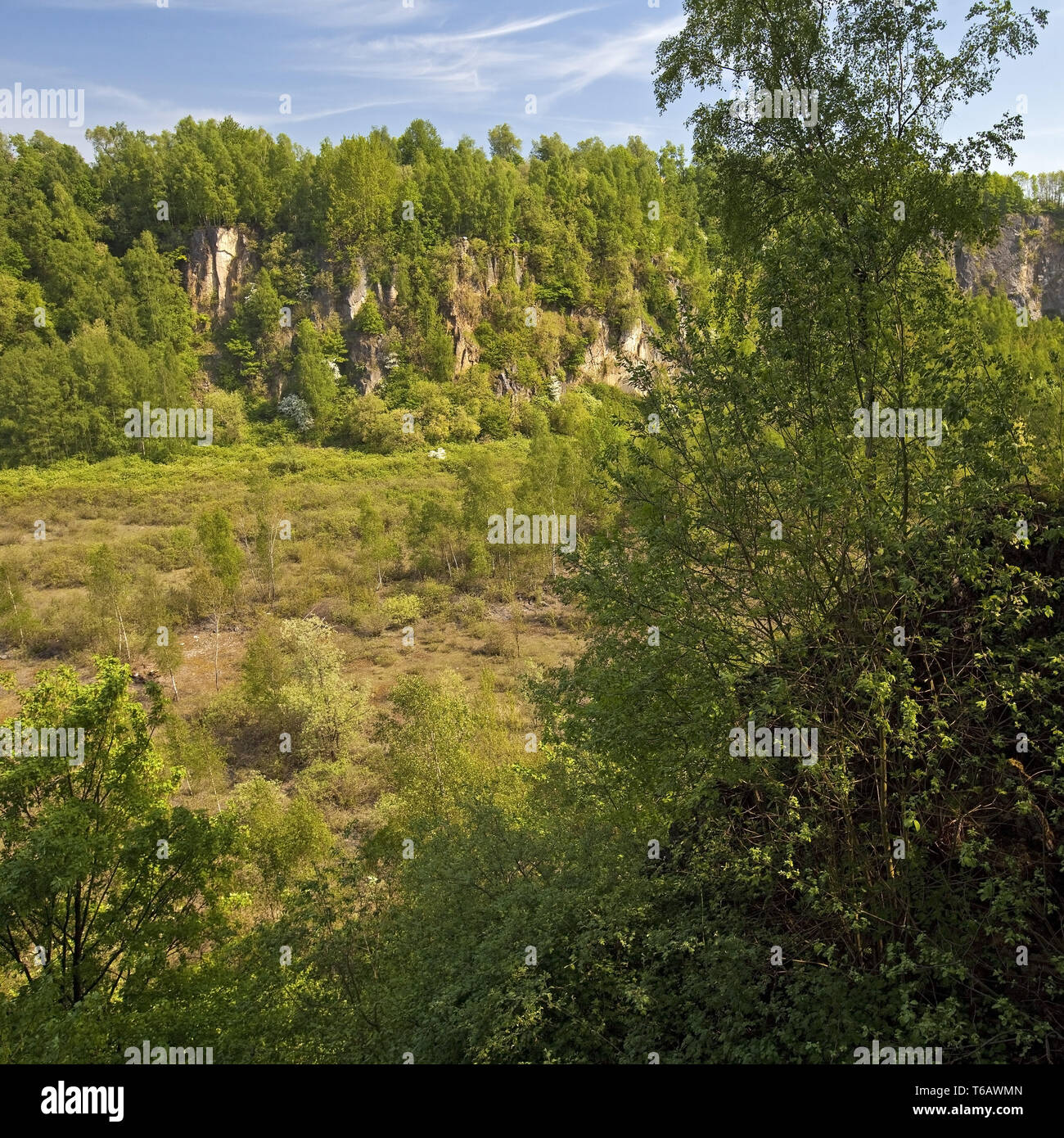 Der ehemalige Steinbruch der Bochumer Bruch, Wülfrath, Bergisches Land, Deutschland Stockfoto