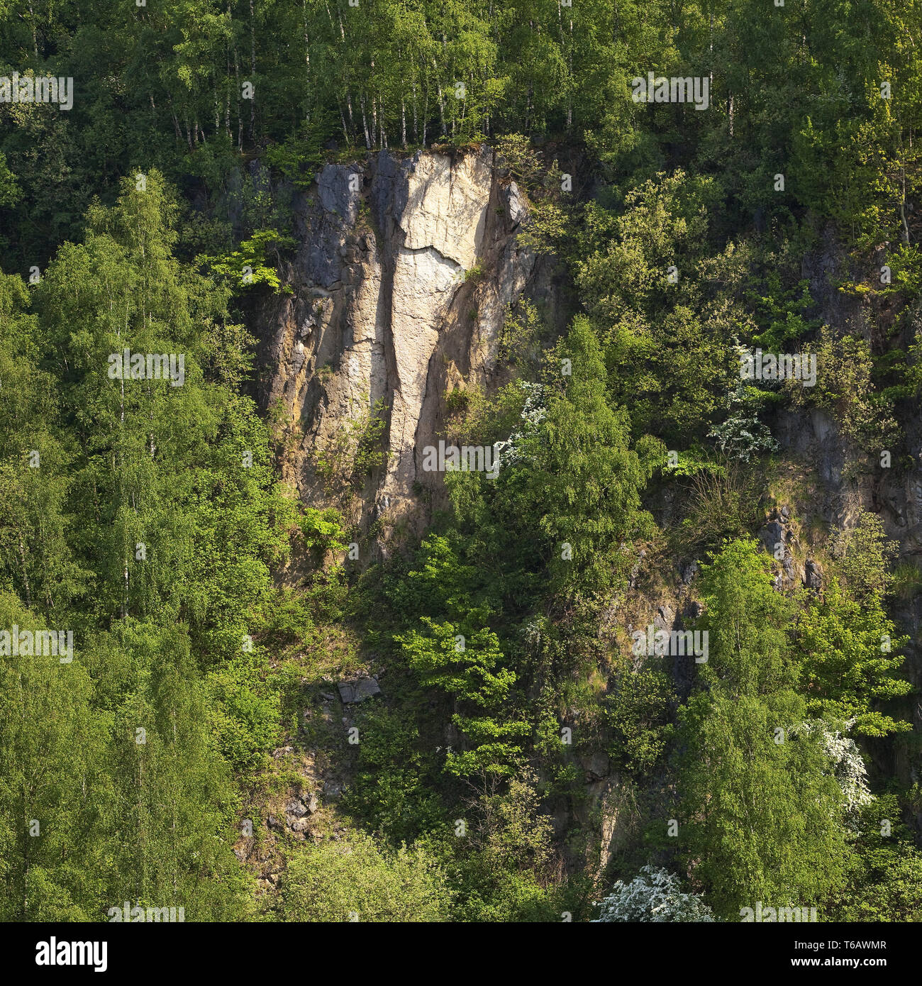 Rock Formation des ehemaligen Kalksteinbruch Bochumer Bruch, Wülfrath, Bergisches Land, Deutschland Stockfoto