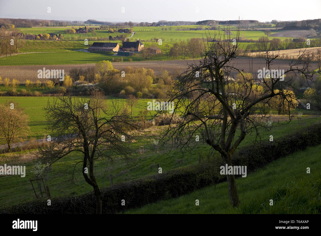 Landschaft mit Bauernhaus, Blick vom Burgberg, Oelde-Stromberg, Nordrhein-Westfalen, Deutschland Stockfoto