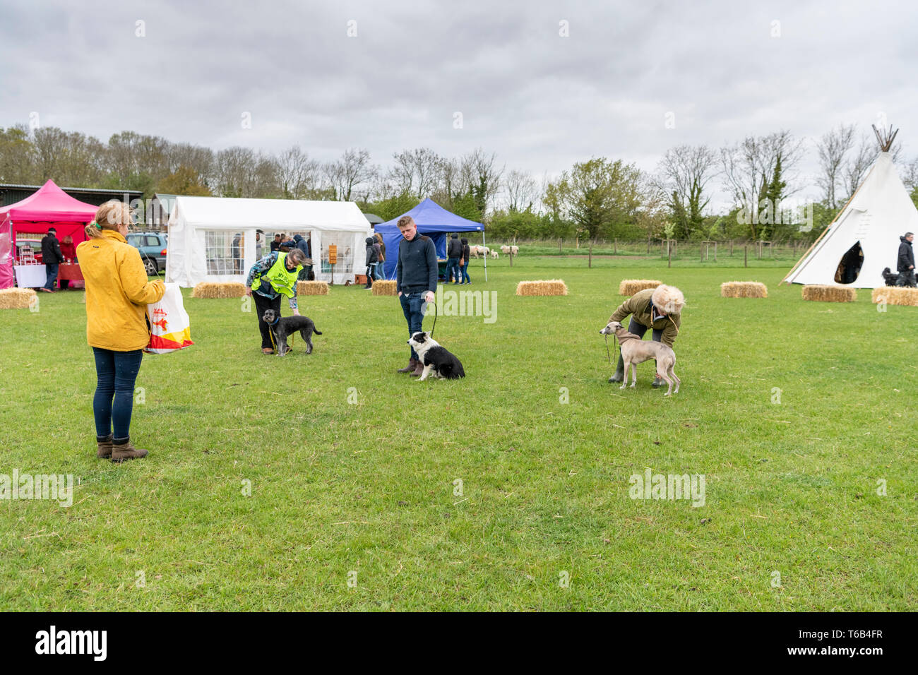 Mayfields Farm Tag der Offenen Juricani Norfolk UK Stockfoto