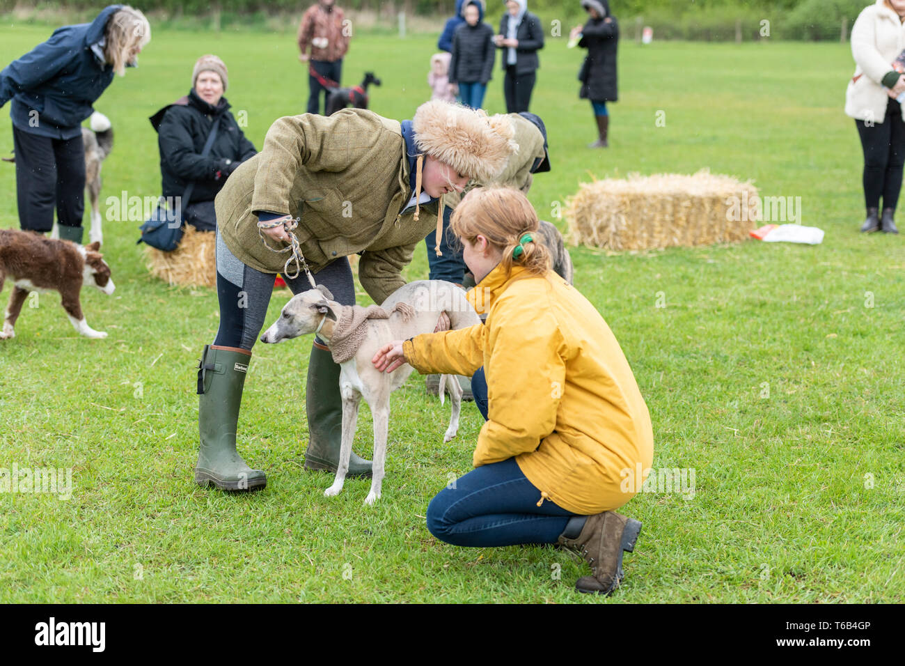 Mayfields Farm Tag der Offenen Juricani Norfolk UK Stockfoto