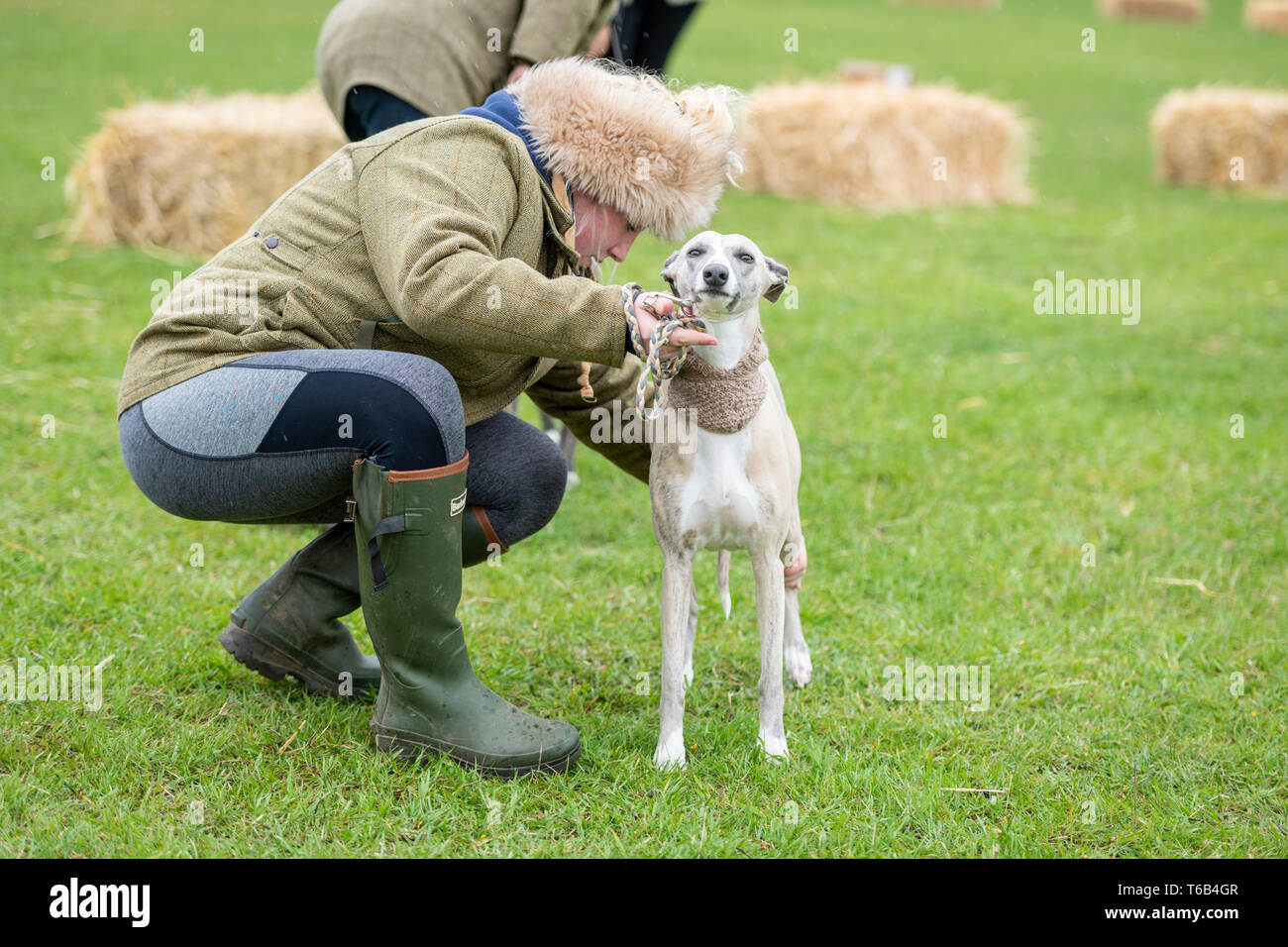 Mayfields Farm Tag der Offenen Juricani Norfolk UK Stockfoto