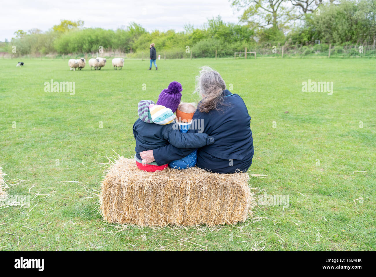Mayfields Farm Tag der Offenen Juricani Norfolk UK Stockfoto