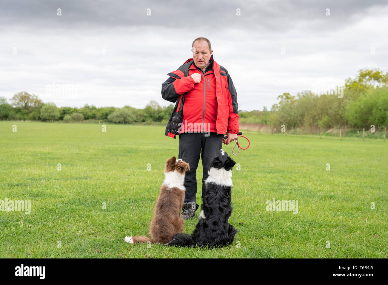 Mayfields Farm Tag der Offenen Juricani Norfolk UK Stockfoto